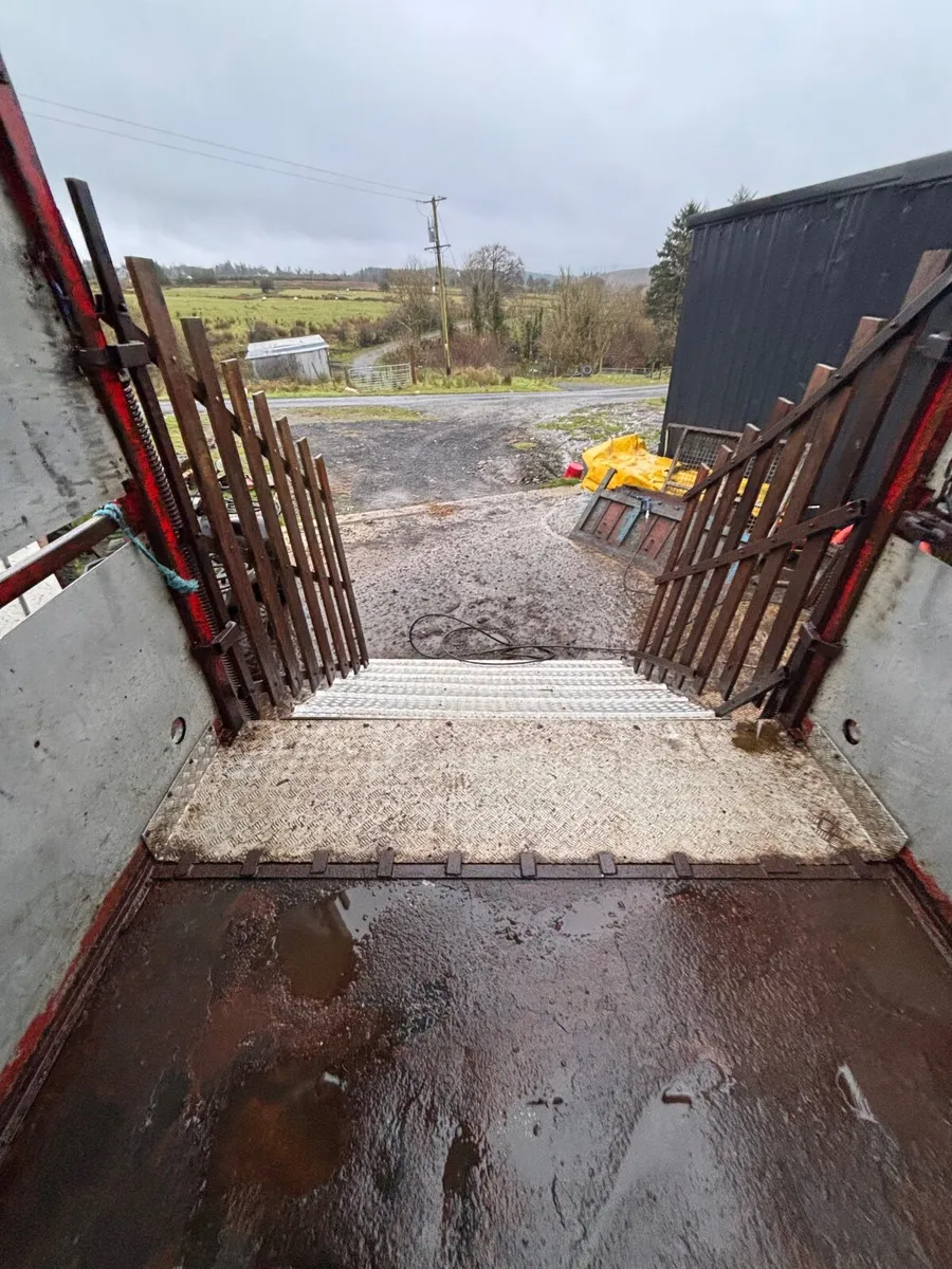 Cattle trailer/tipping trailer - Image 3