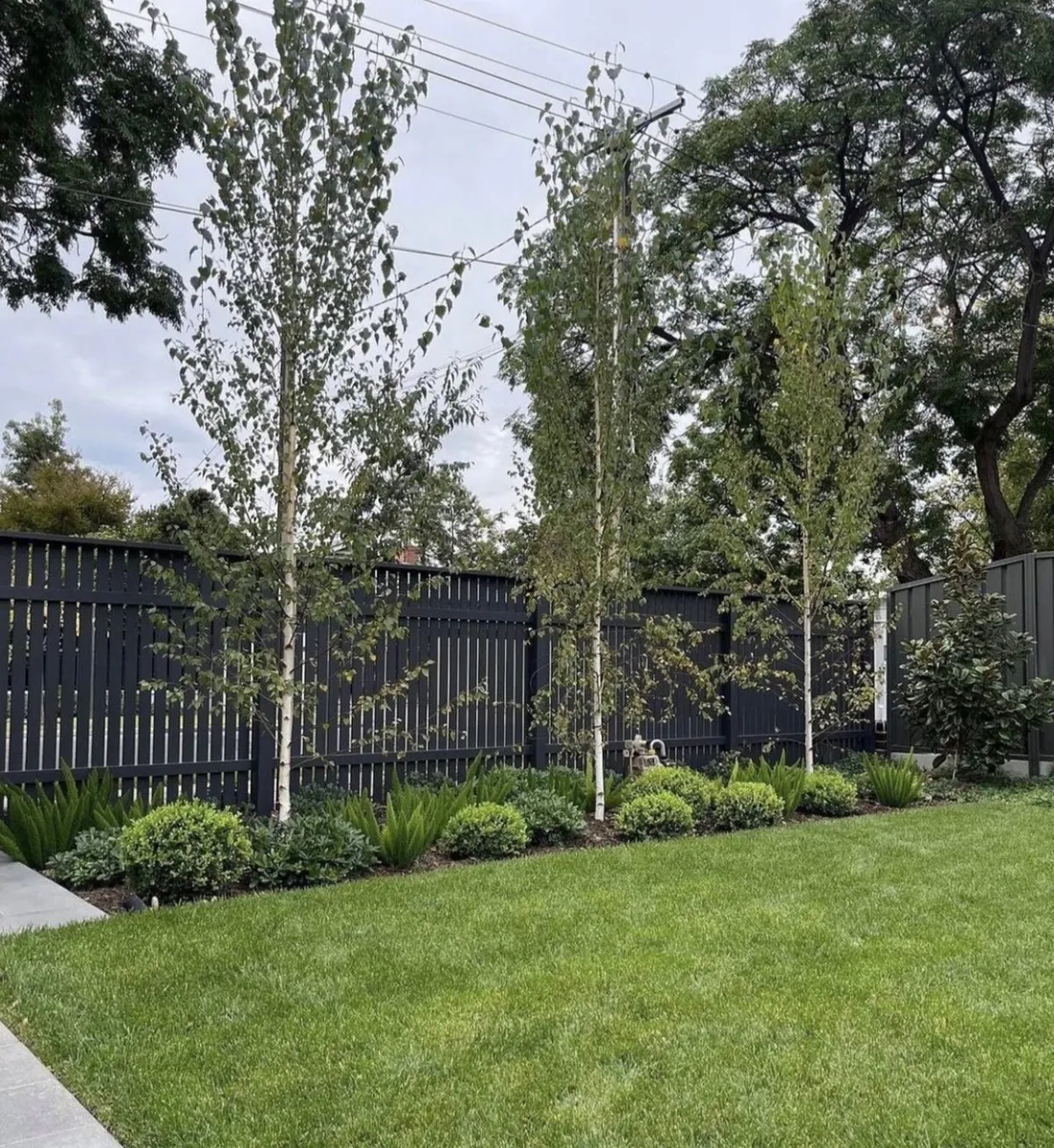 Landscaping and Garden Maintenance Service - Image 1