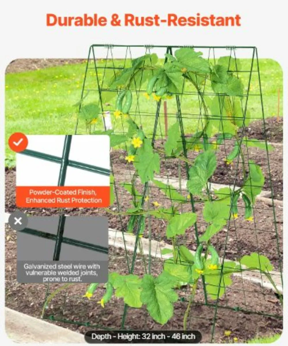 Cucumber Trellis for Climbing Plants, 46" x 32" - Image 2