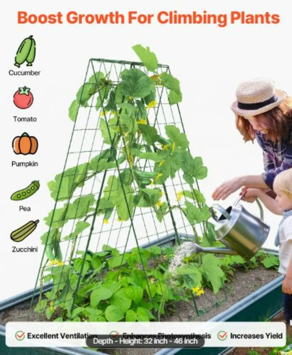 Cucumber Trellis for Climbing Plants, 46" x 32" - Image 3