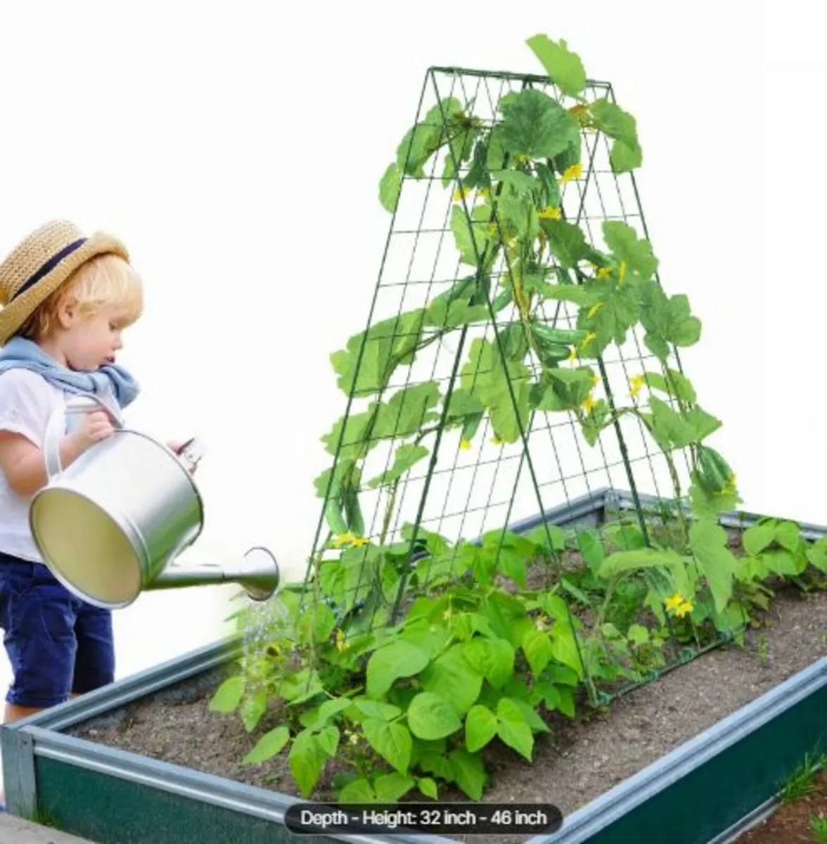 Cucumber Trellis for Climbing Plants, 46" x 32" - Image 4