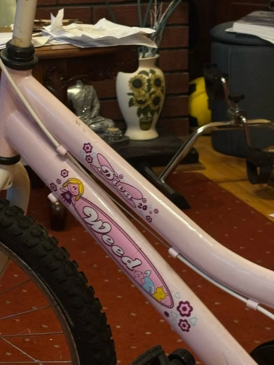 Kids Bike - Image 4