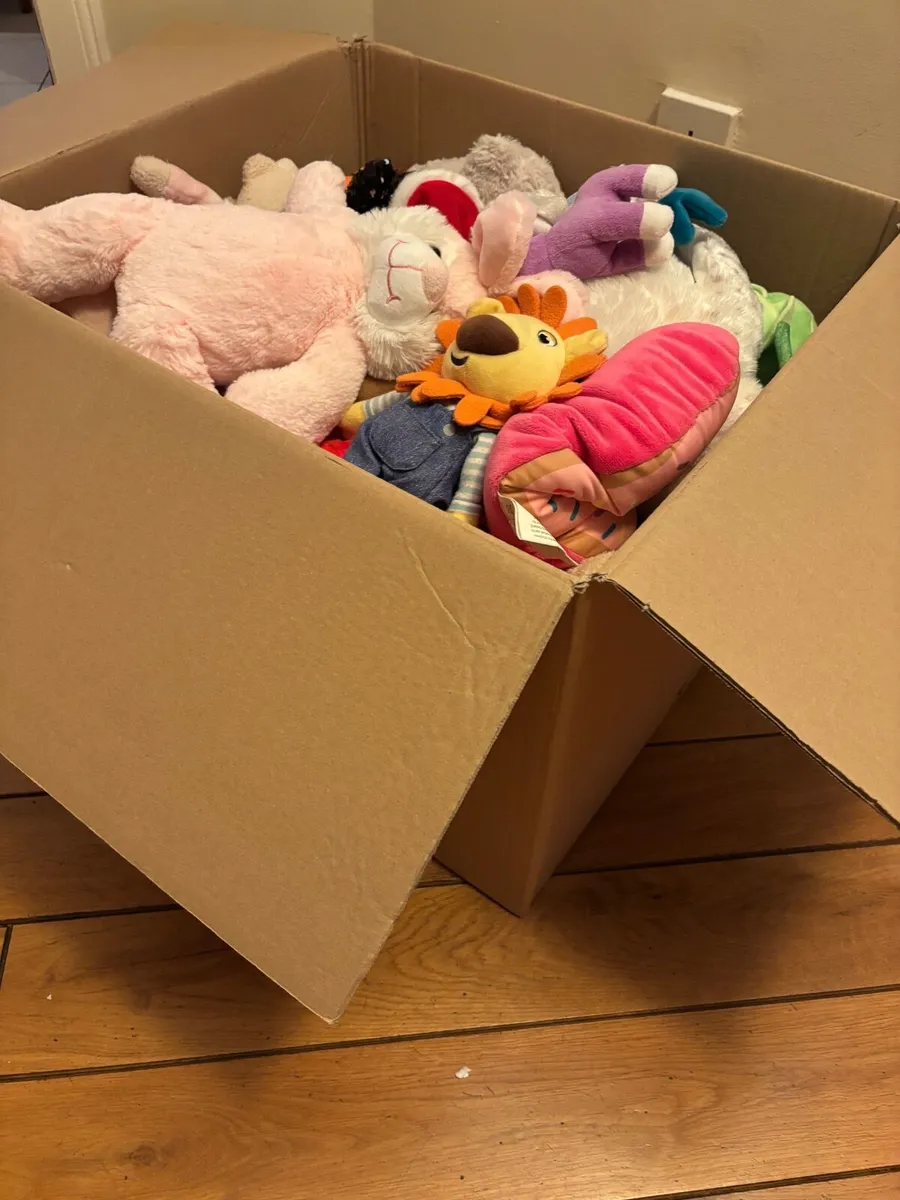 Free Box of soft toys - Image 1