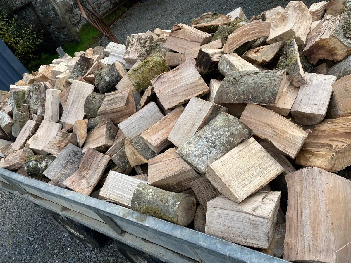 Seasoned firewood - Image 1