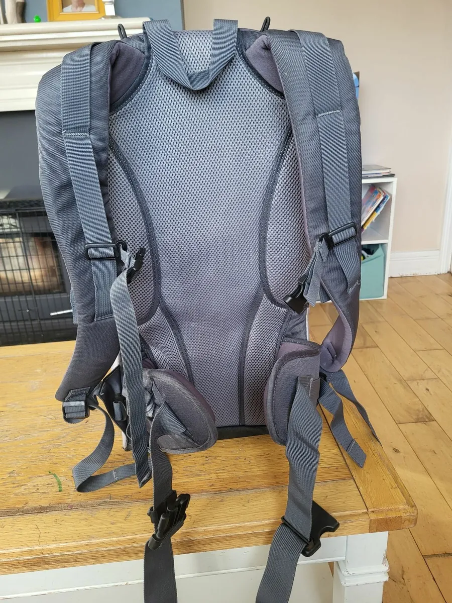 Phil and Ted's baby carrier - Image 3