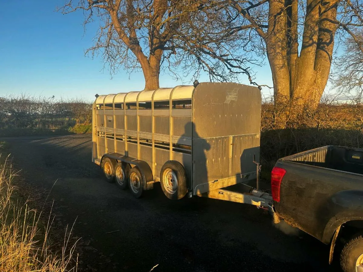 14Ft 3 AXLE Cattle Trailer - Image 1