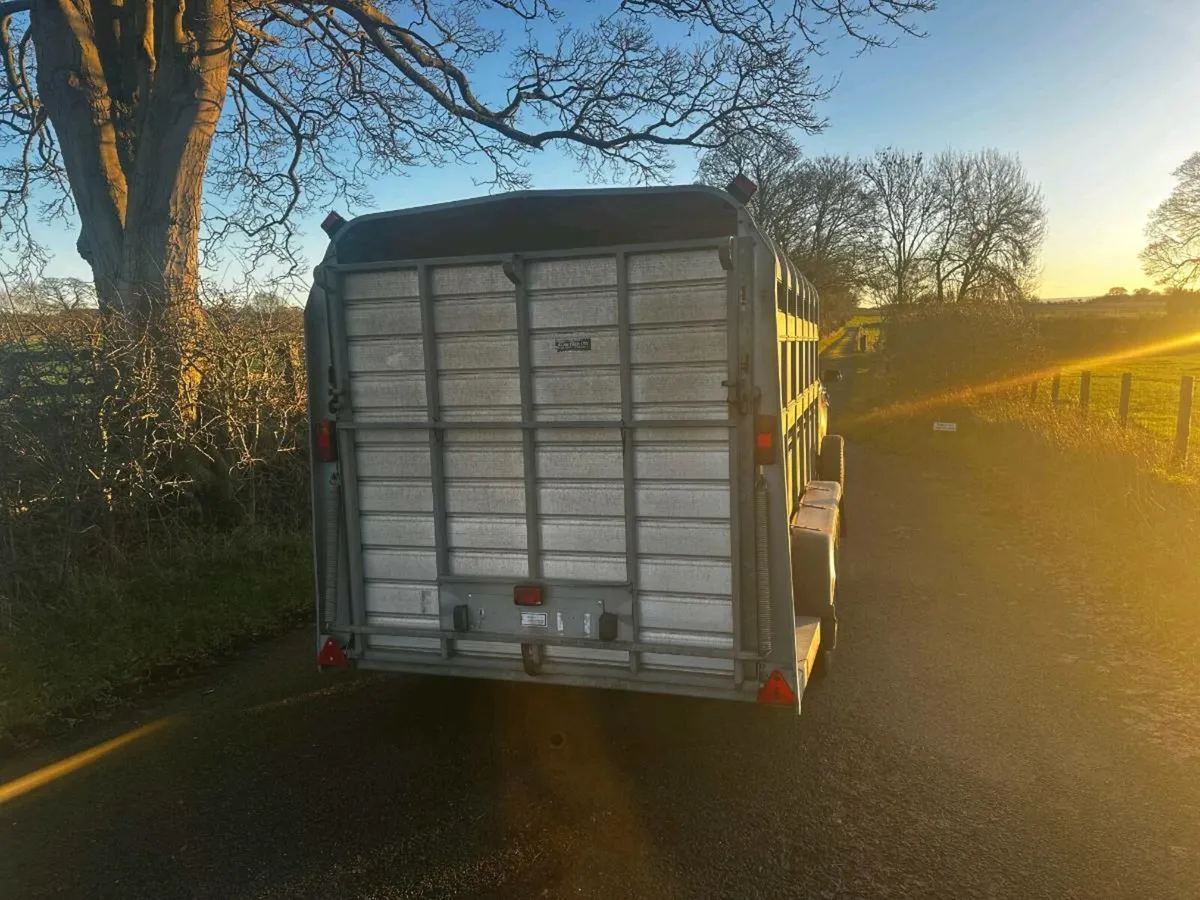 14Ft 3 AXLE Cattle Trailer - Image 2