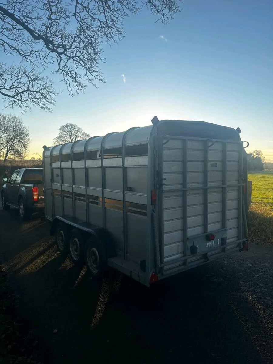14Ft 3 AXLE Cattle Trailer - Image 3