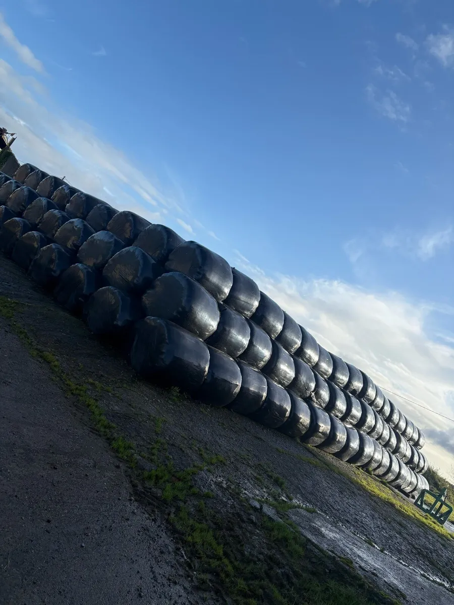 Silage bales - Image 1