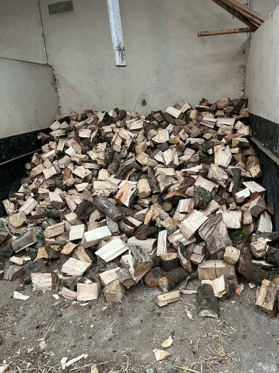 Firewood - Image 1