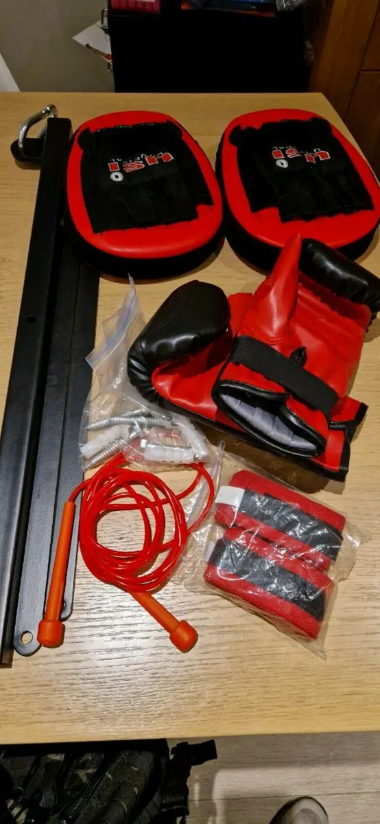 Boxing punch bag - Image 1