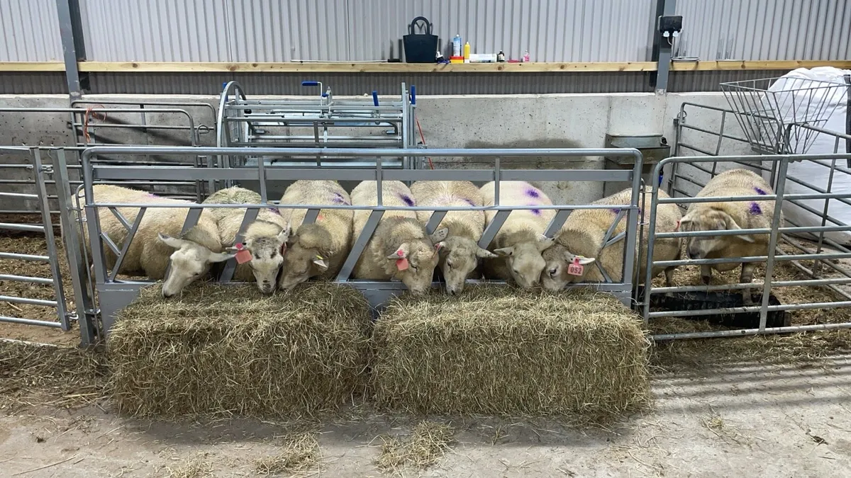 Feeding barriers - Image 2