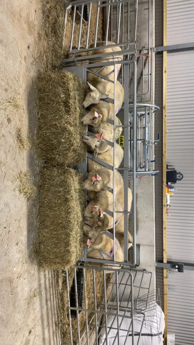 Feeding barriers - Image 3