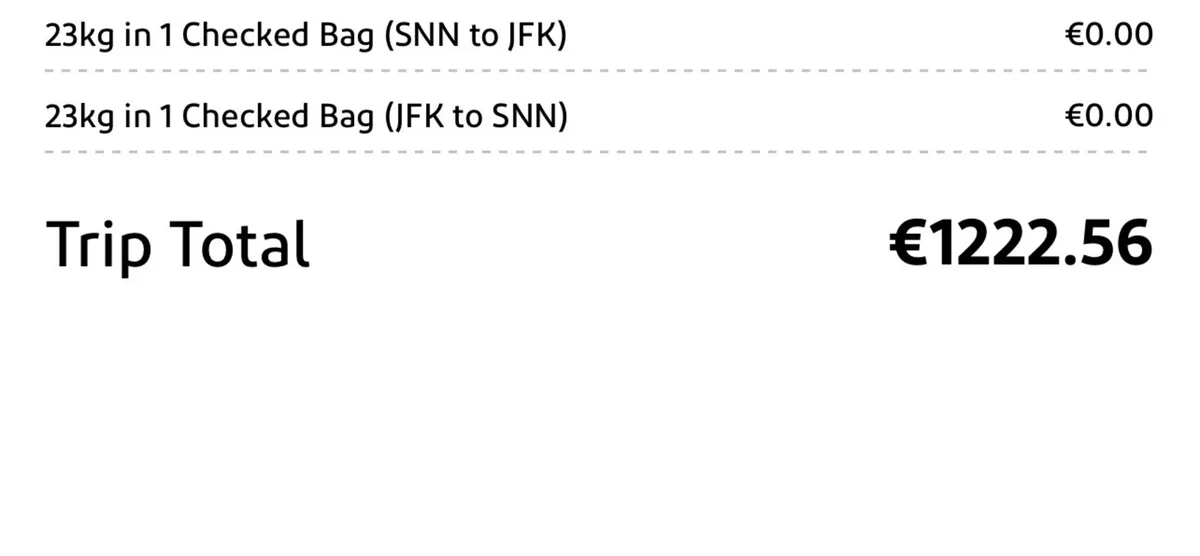 Flights to New York 10-16 December from Shannon - Image 2