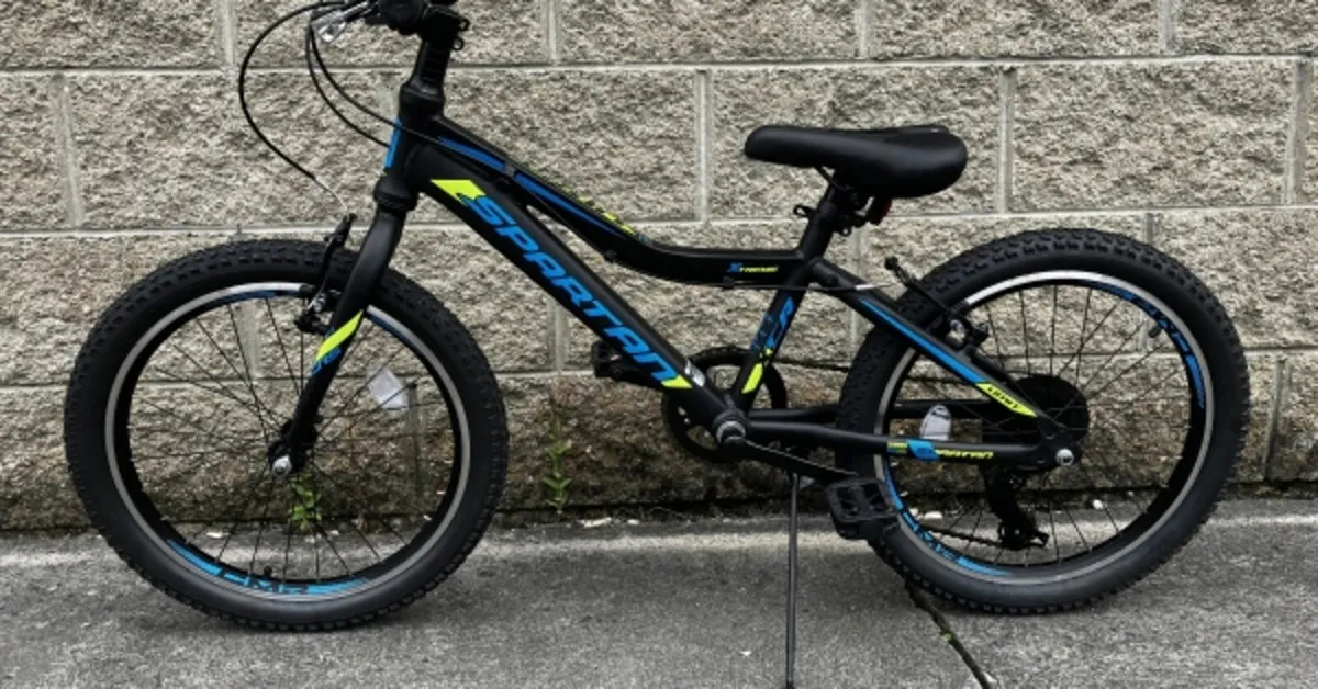 SPARTAN JUNIOR MOUNTAIN BIKE