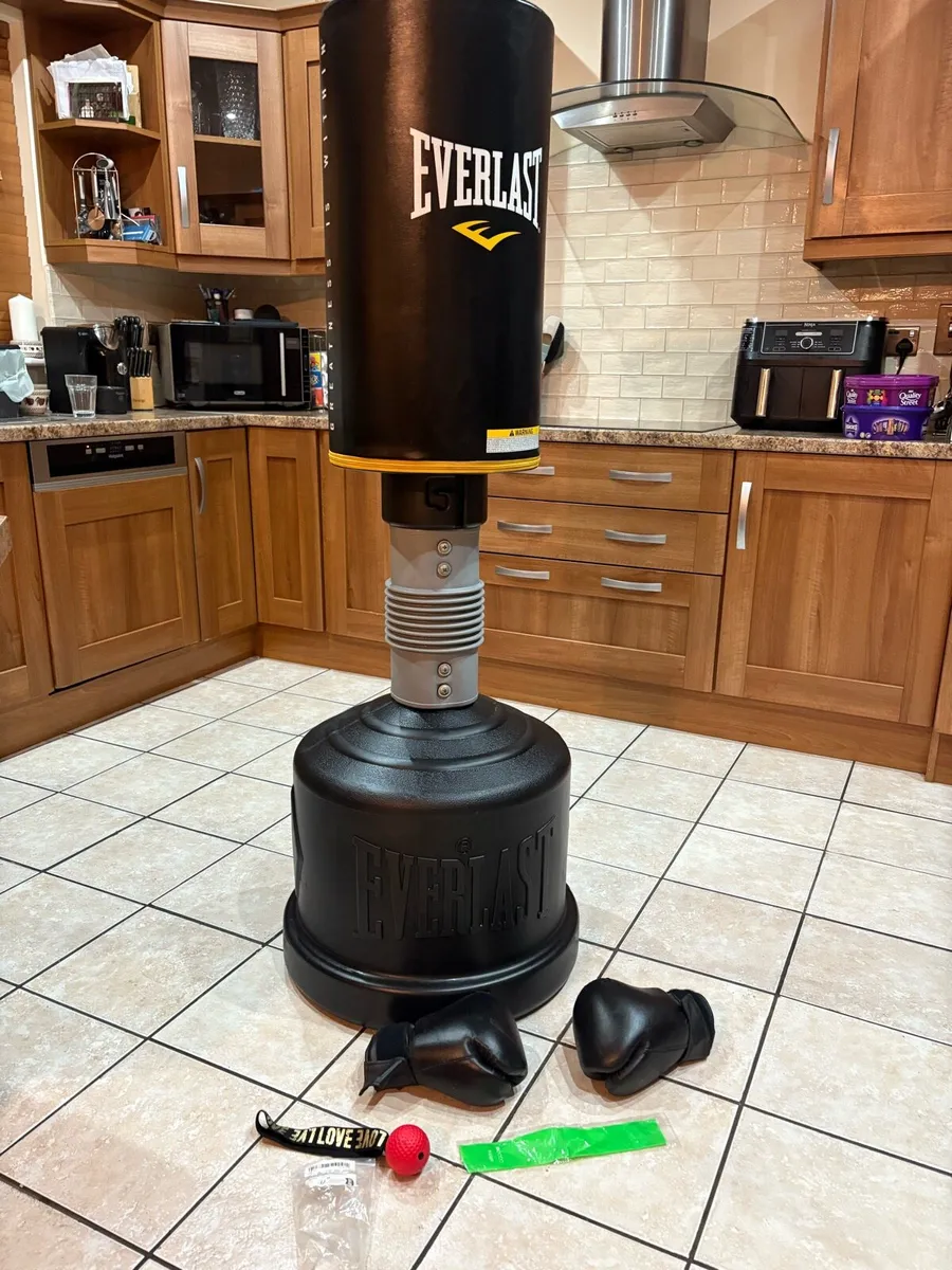 EVERLAST EVERFLEX FREESTANDING PUNCH BAG, GLOVES! - Image 1