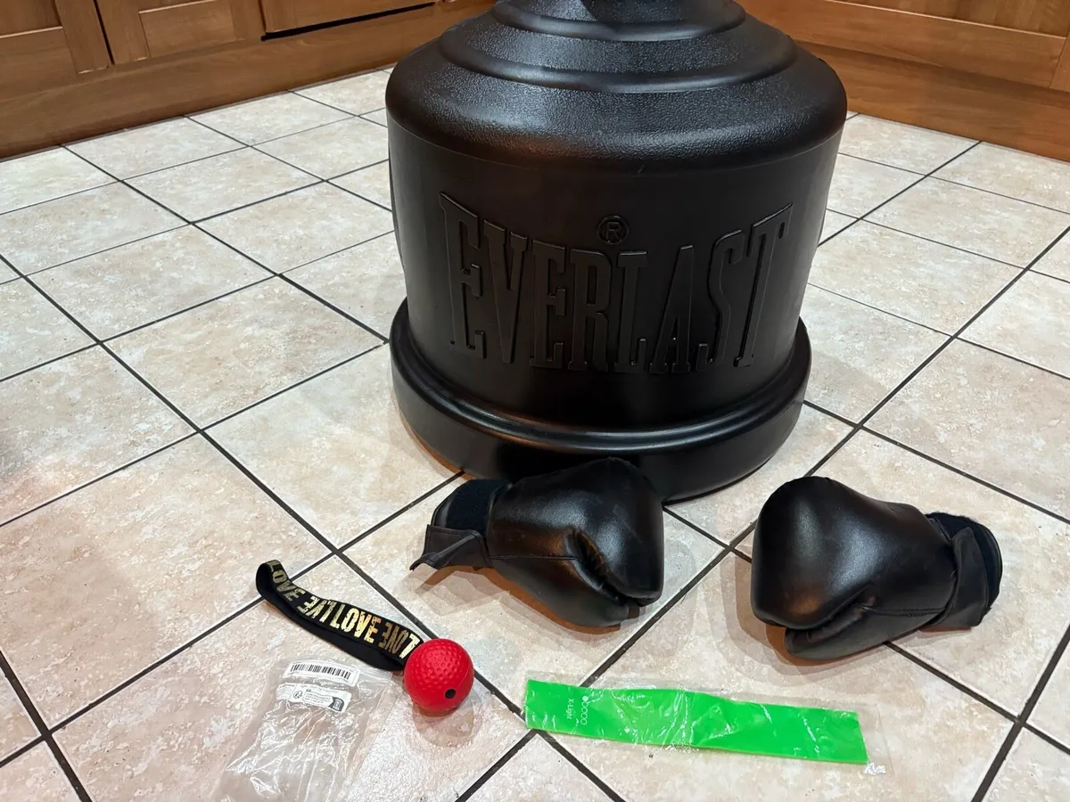 EVERLAST EVERFLEX FREESTANDING PUNCH BAG, GLOVES! - Image 3