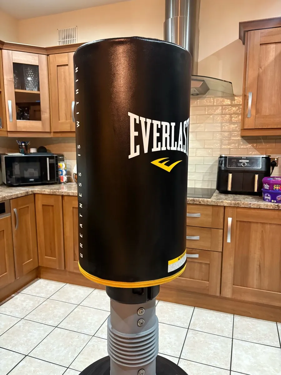 EVERLAST EVERFLEX FREESTANDING PUNCH BAG, GLOVES! - Image 4