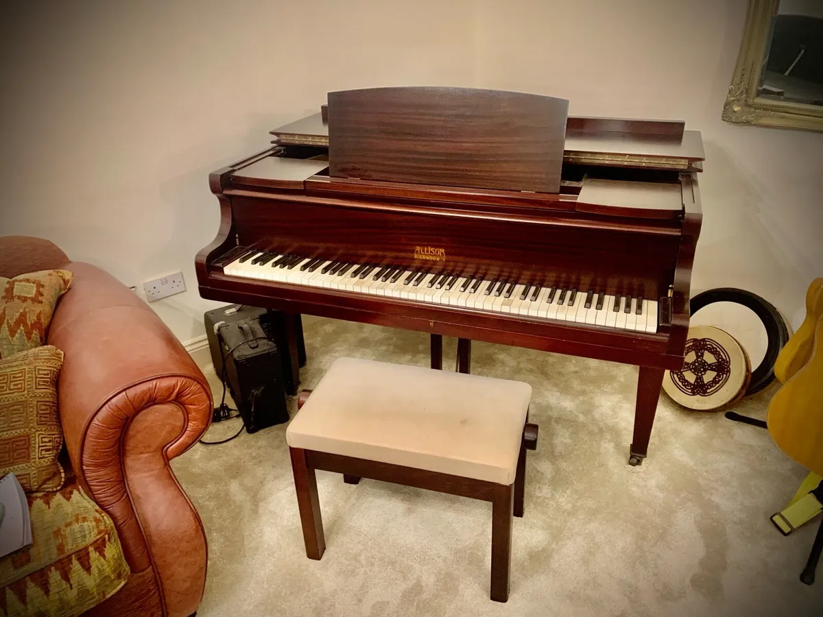 Allison London Baby Grand Piano - Image 4