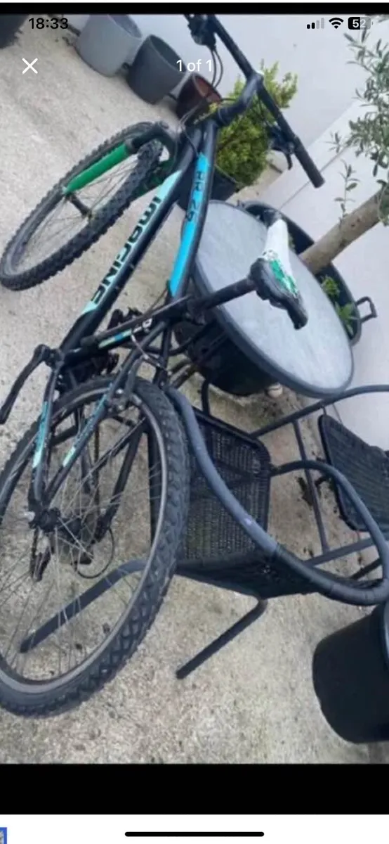 Bicycle RR26 Imagine