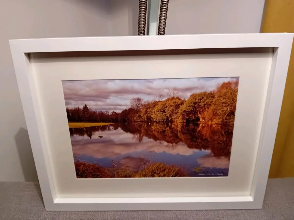 Castlemartyr Castle And Gardens - Image 2