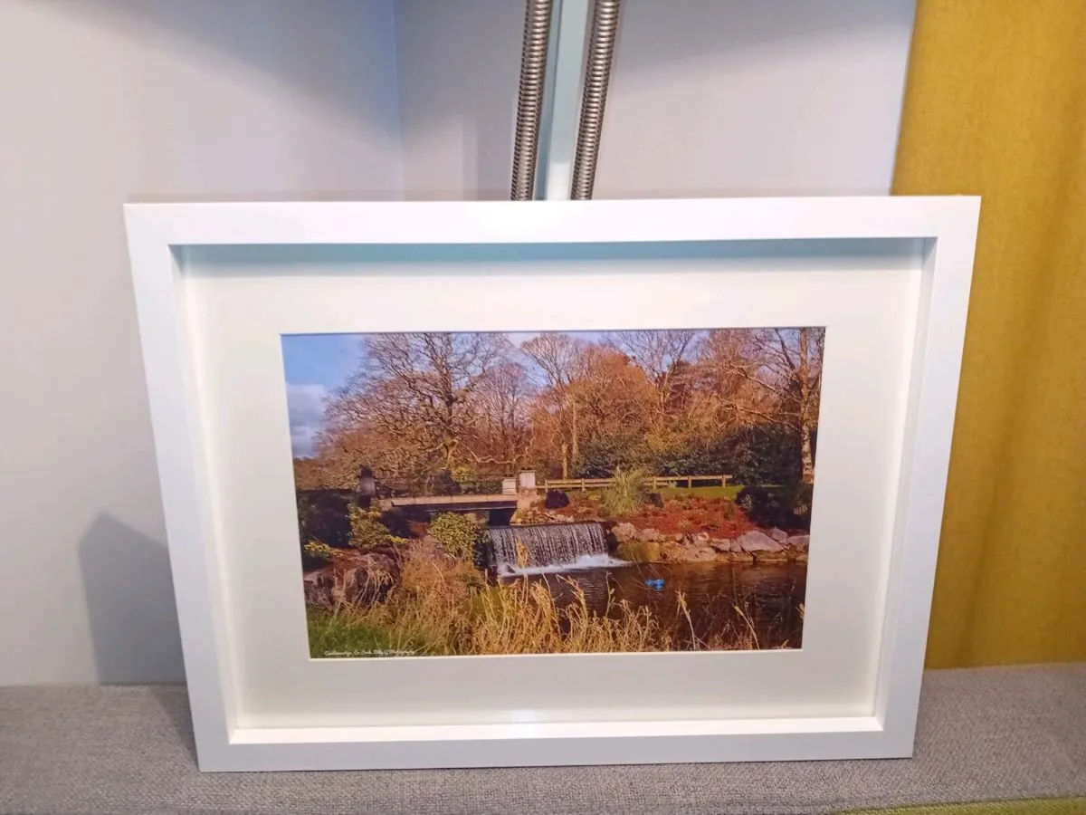 Castlemartyr Castle And Gardens - Image 4