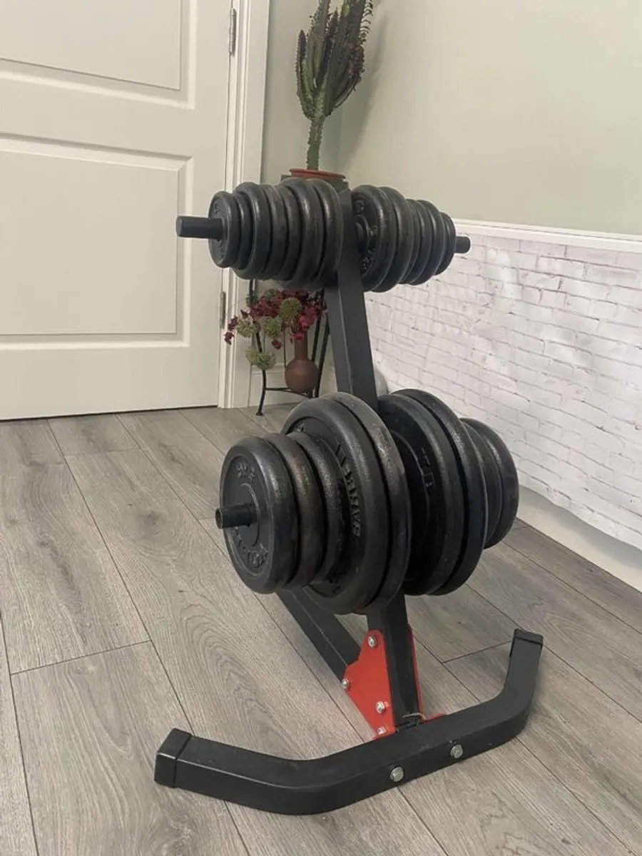 Gym Set with bench - Image 3