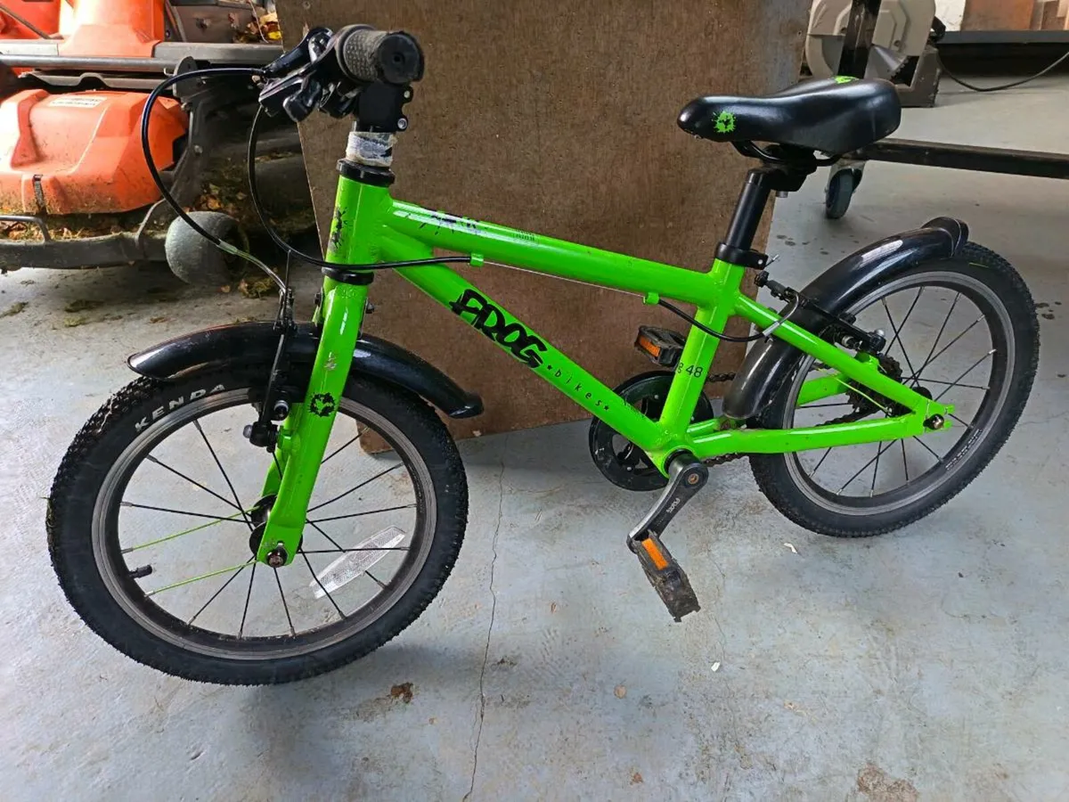 Frog bike 48 - Image 1