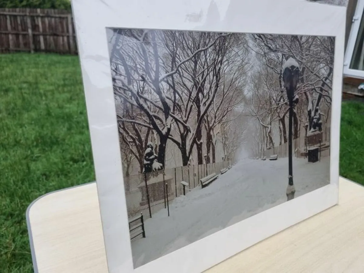 Large art photo - The Mall, Central Park New York - Image 2