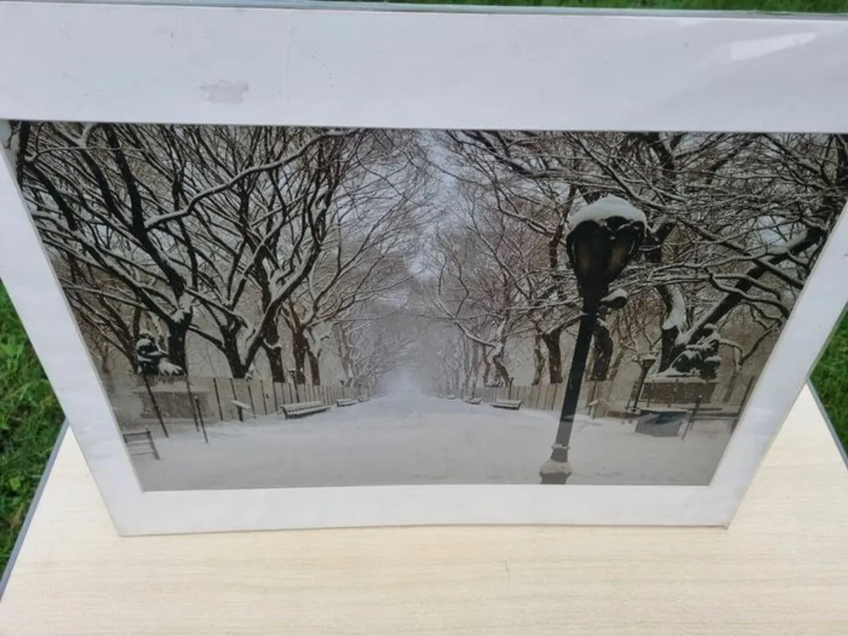 Large art photo - The Mall, Central Park New York - Image 4