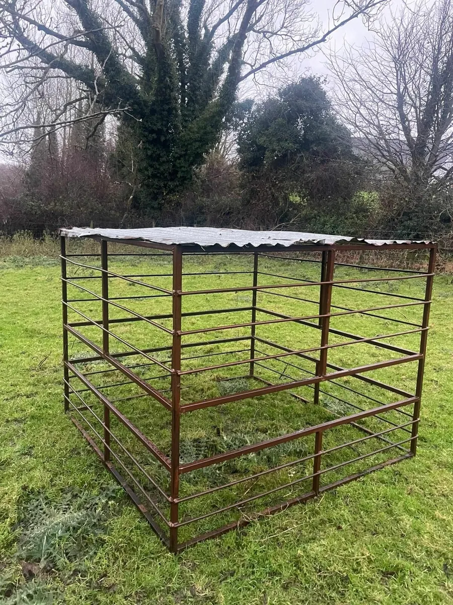 Sheep feeders for sale - Image 1
