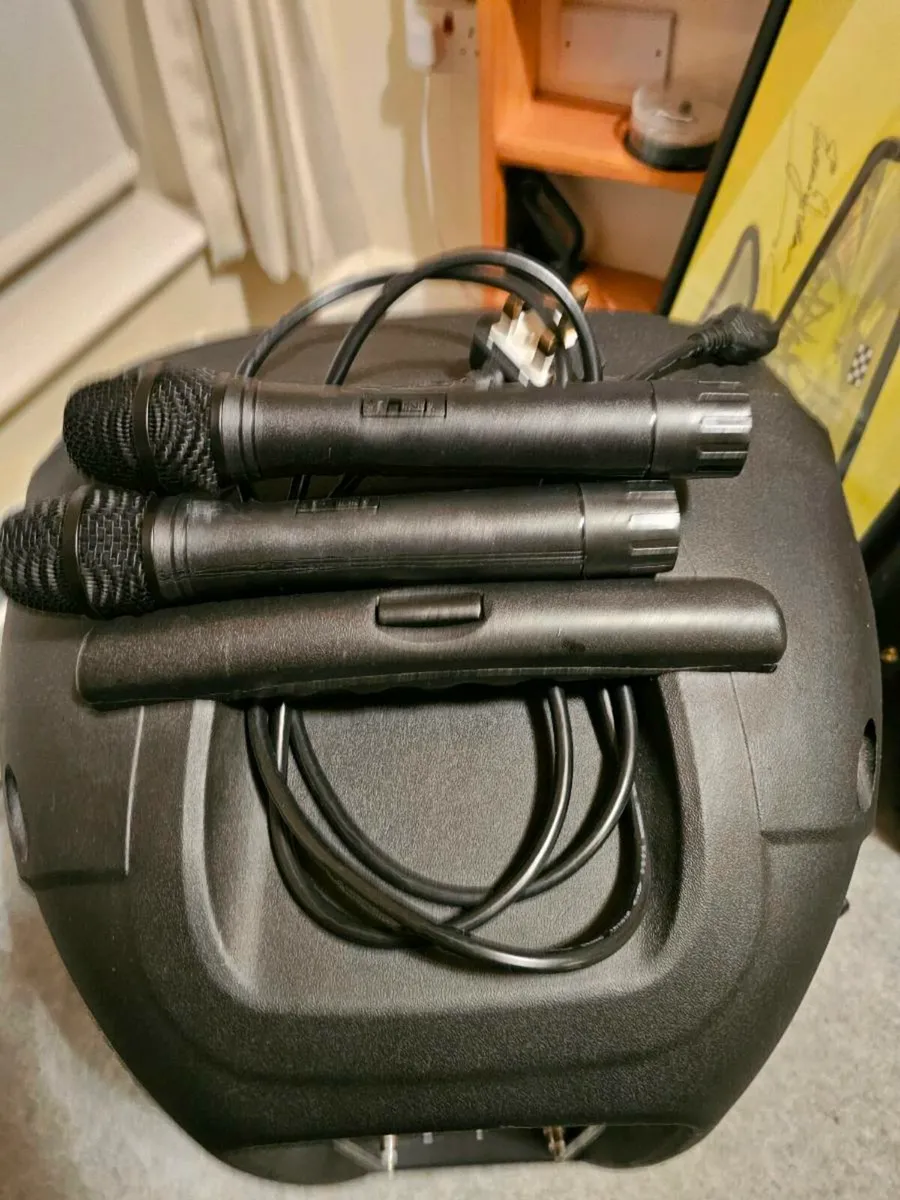 Portable pa system - Image 2
