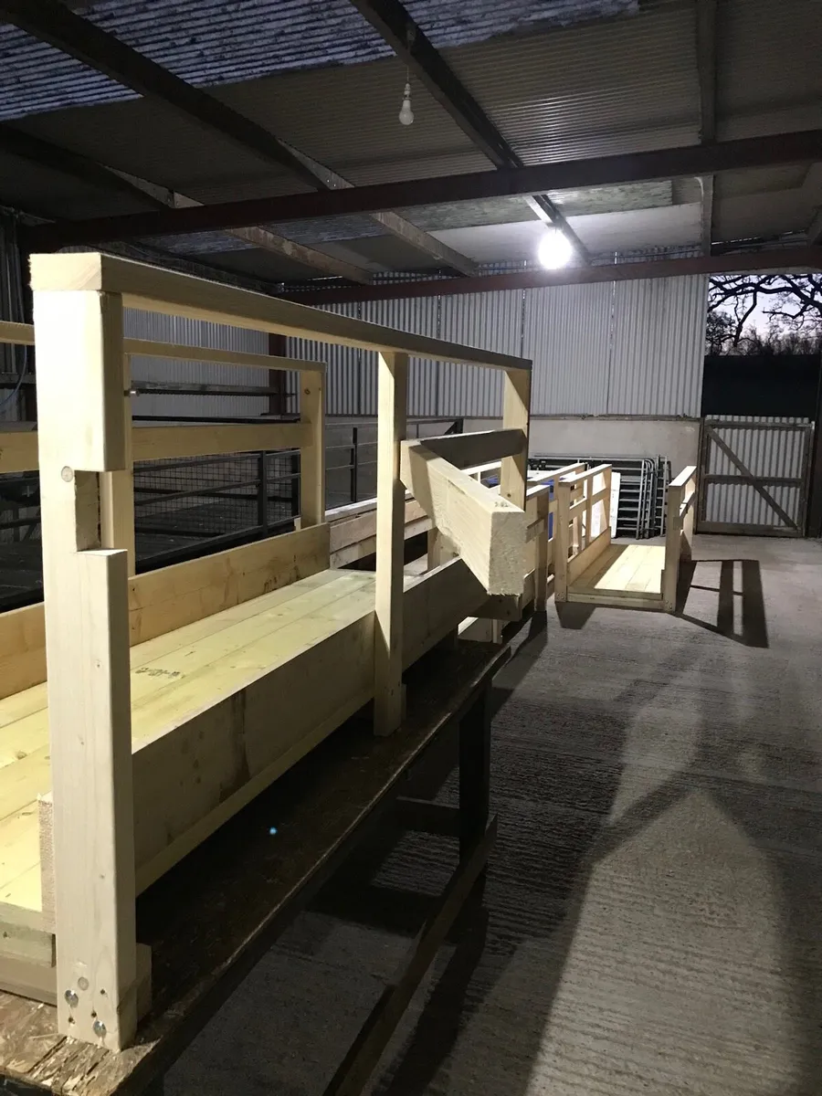 Sheep feeders - Image 2