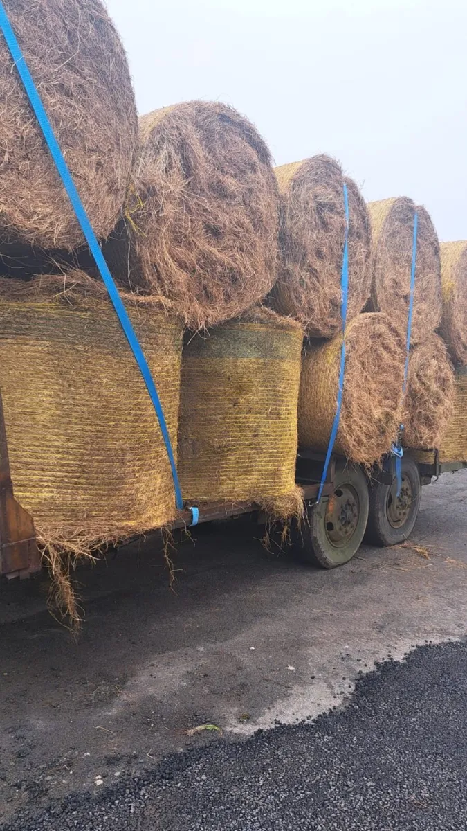 Hay bales - Image 1