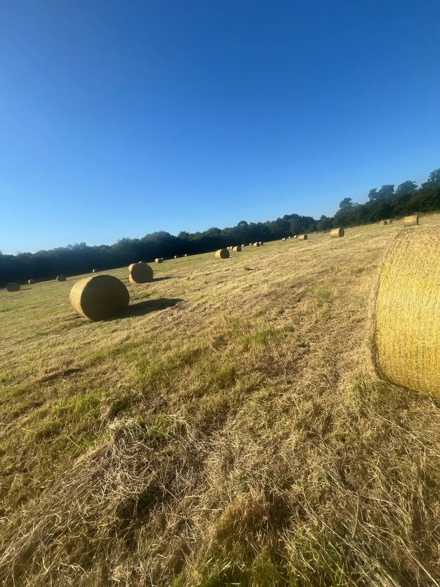 Hay bales - Image 2