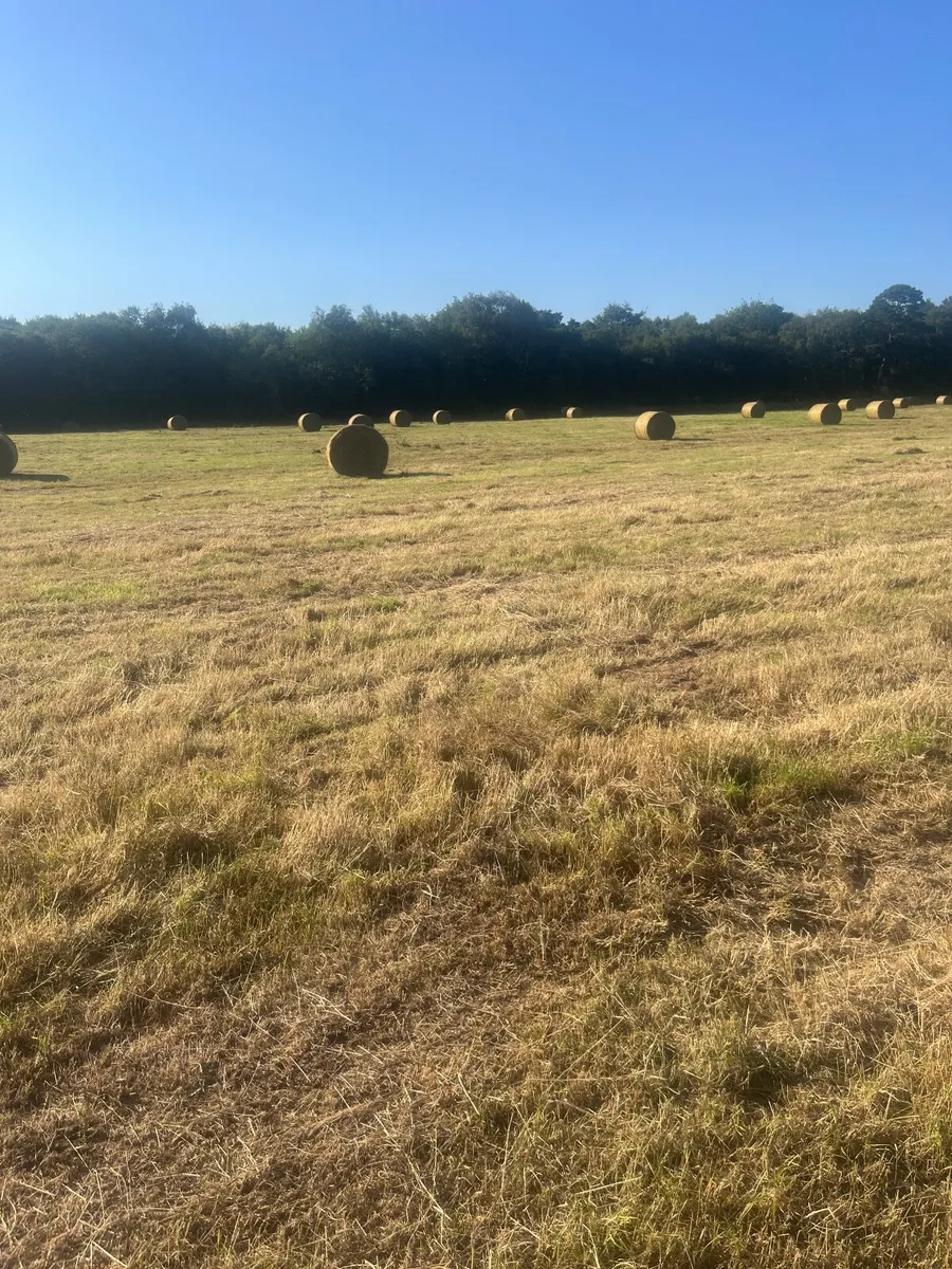 Hay bales - Image 3