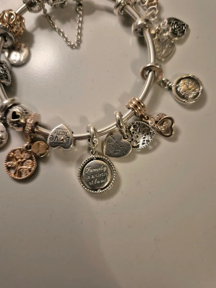 Pandora Braclet with charms - Image 4