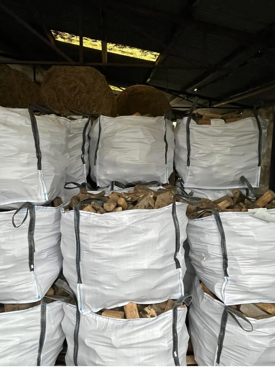 Hardwood fire timber - Image 1