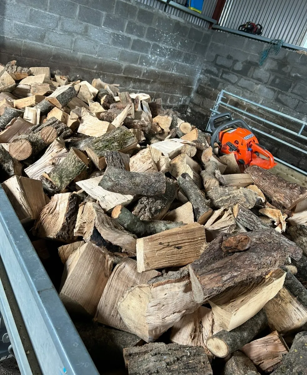 Ash firewood for sale