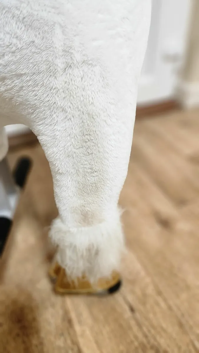 Unicorn pony Cycle - Image 2