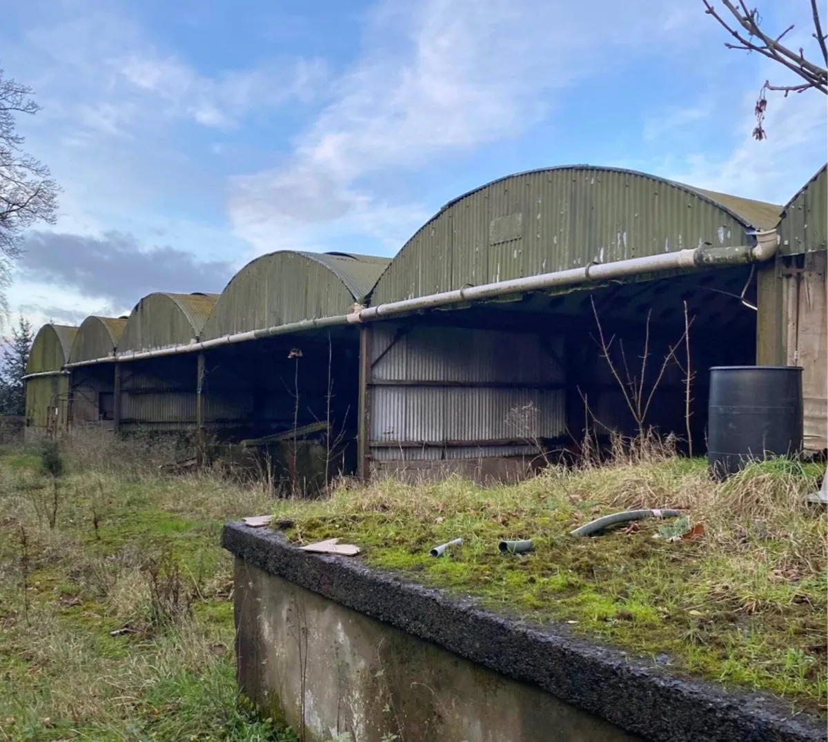 Sheds & Lean to for Sale - Image 1