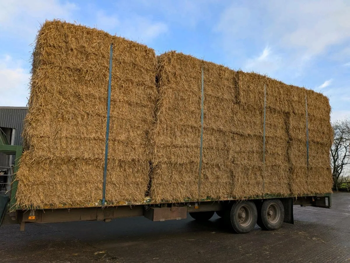 Sugar beet, wheaten straw - Image 3