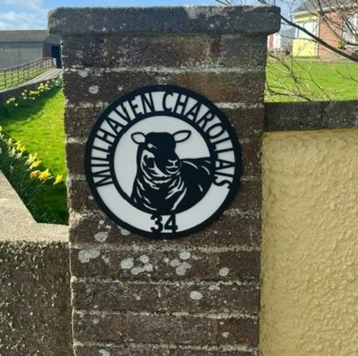 Tractor / Farm Signs, Clocks, Hooks - Image 4