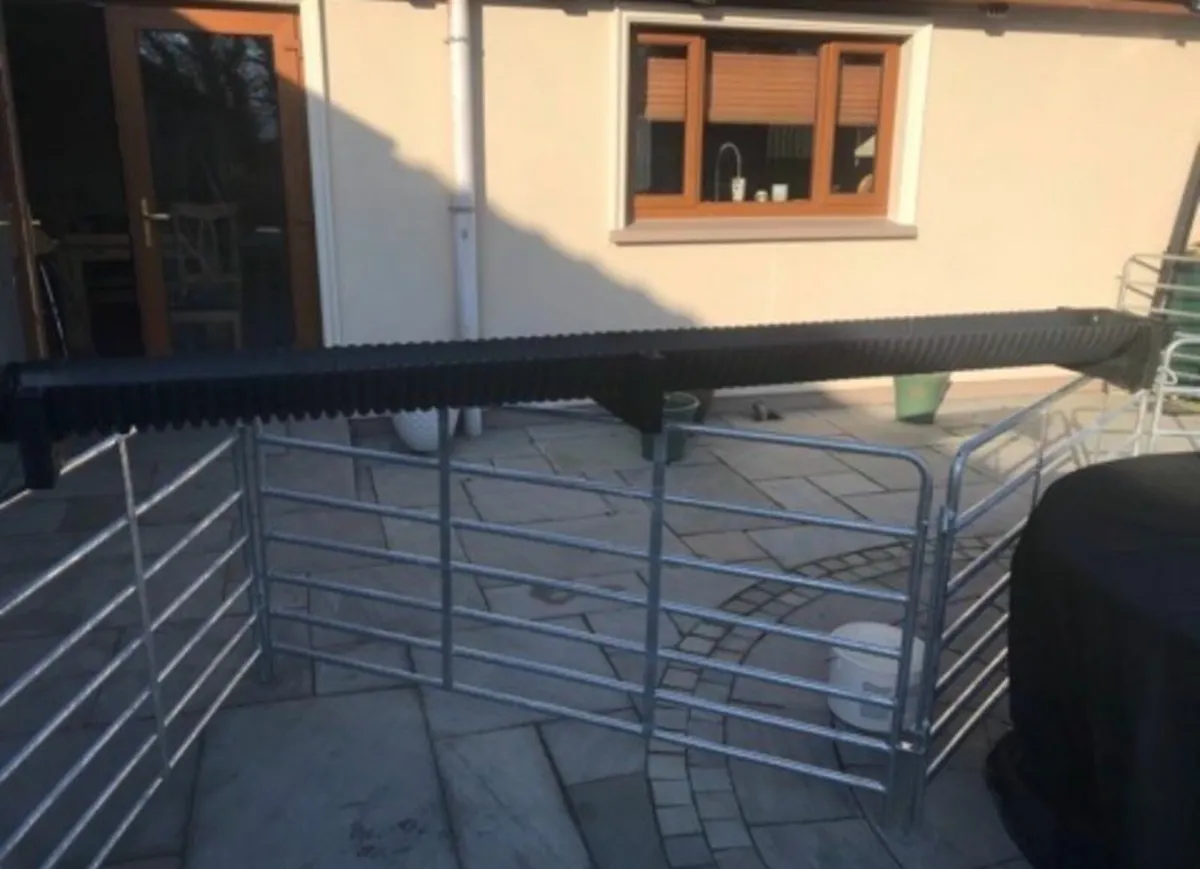 Sheep/calf trough - Image 1