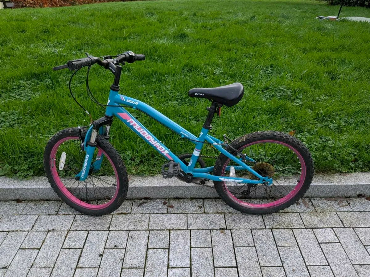 Girls Mountain Bike - Image 1
