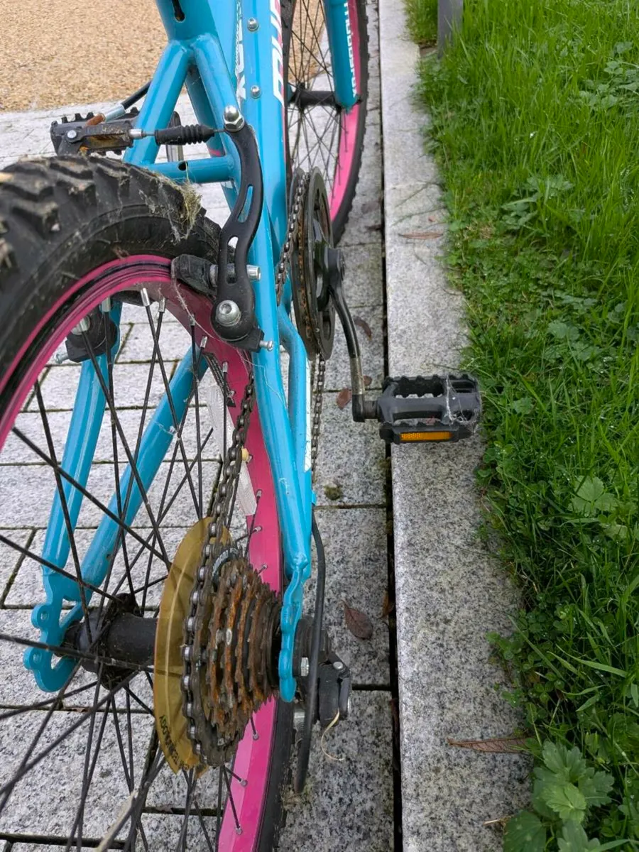 Girls Mountain Bike - Image 3