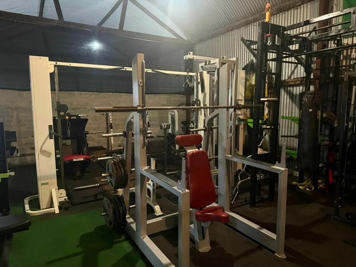 Freemotion Military Press – Elite Commercial - Image 4