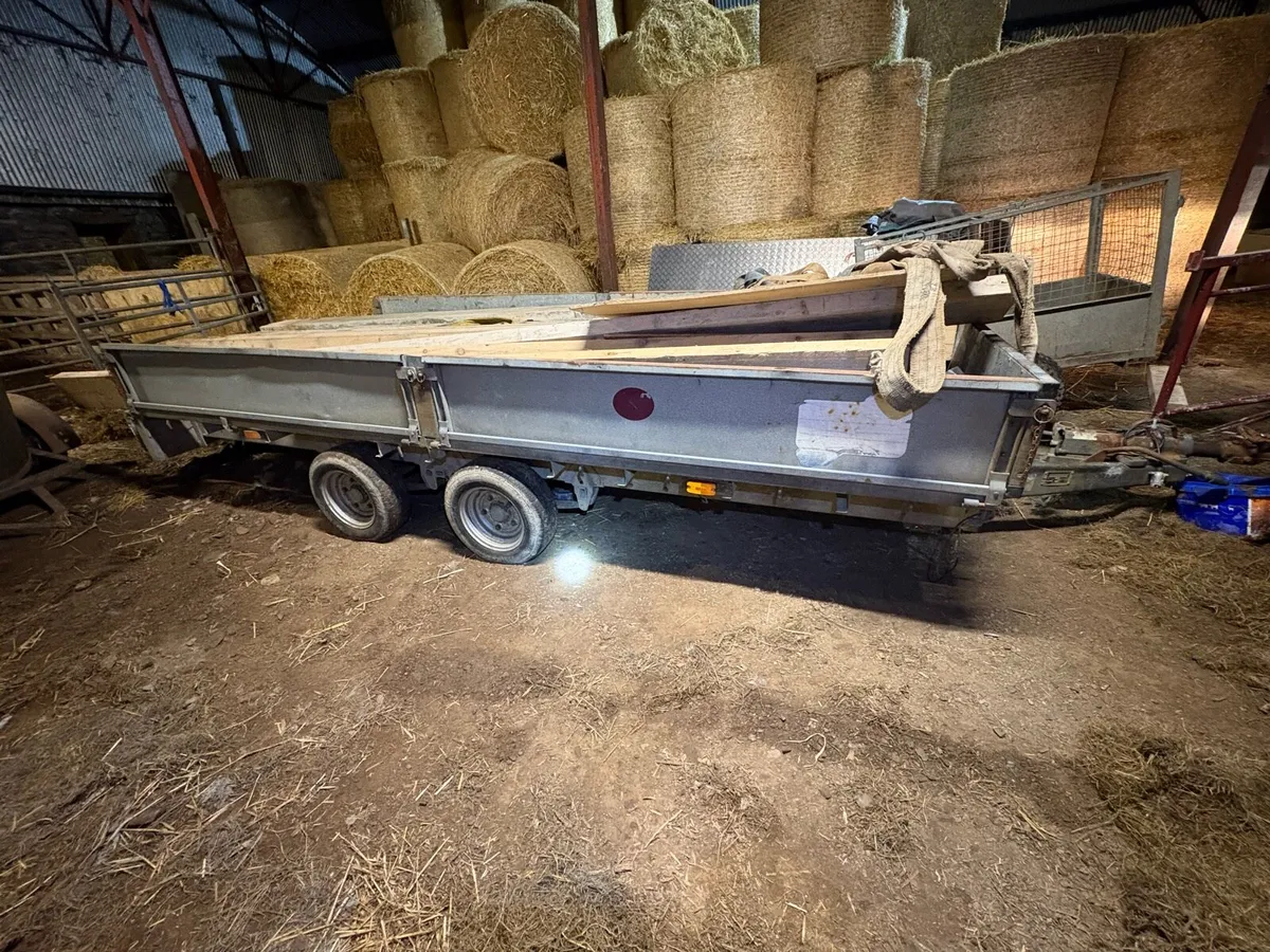 14ft ifor Williams - Image 1