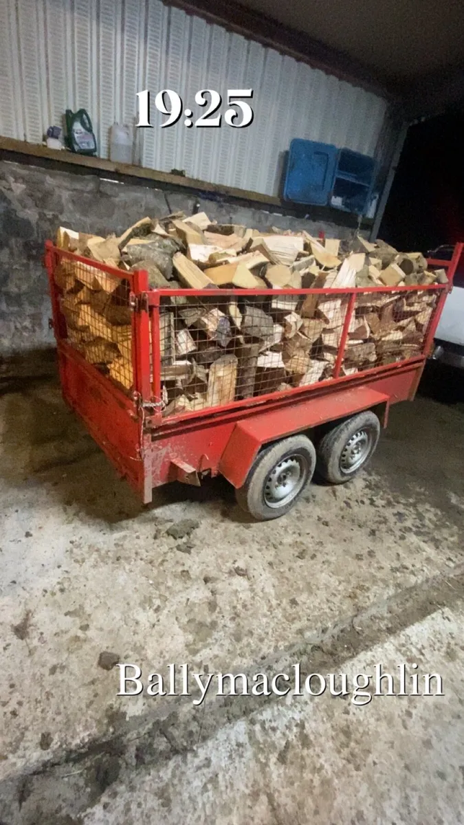 Coal & fire logs - Image 3