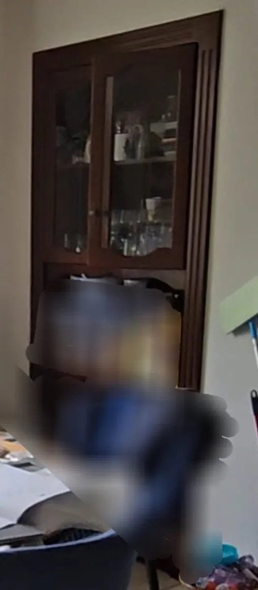 Alcove Cabinet Display Storage Unit - Image 2